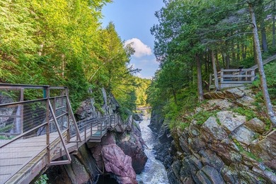High Falls Gorge - Iconic Adirondack Nature Attraction & Turnkey - photo 55