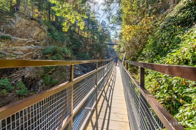 High Falls Gorge - Iconic Adirondack Nature Attraction & Turnkey - photo 56