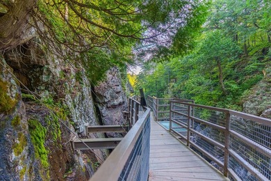 High Falls Gorge - Iconic Adirondack Nature Attraction & Turnkey - photo 58