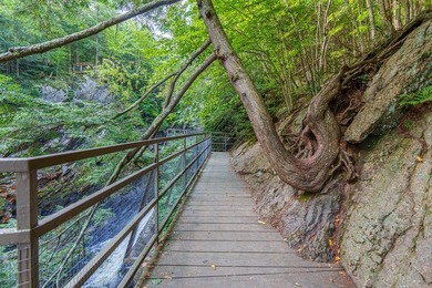 High Falls Gorge - Iconic Adirondack Nature Attraction & Turnkey - photo 59