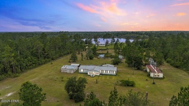 Mulehead Pond Home For Sale in Altha Florida