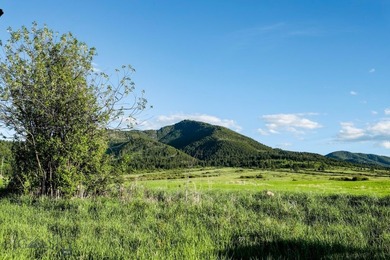 1903 Mount Ellis Lane encompasses 119+/- acres in Bozeman's - photo 21
