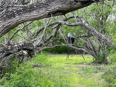 Embrace the natural scenic wildlife of country living on this - photo 10