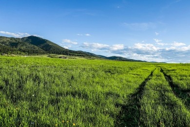 1903 Mount Ellis Lane encompasses 119+/- acres in Bozeman's - photo 43