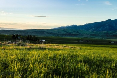 1903 Mount Ellis Lane encompasses 119+/- acres in Bozeman's - photo 44