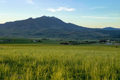 1903 Mount Ellis Lane encompasses 119+/- acres in Bozeman's - photo 45