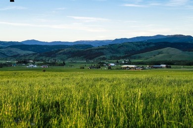 1903 Mount Ellis Lane encompasses 119+/- acres in Bozeman's - photo 46