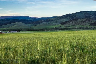 1903 Mount Ellis Lane encompasses 119+/- acres in Bozeman's - photo 47