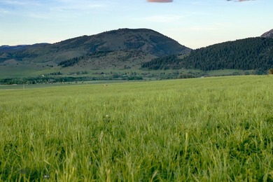 1903 Mount Ellis Lane encompasses 119+/- acres in Bozeman's - photo 48
