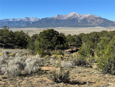 (private lake, pond, creek) Acreage For Sale in Buena Vista Colorado