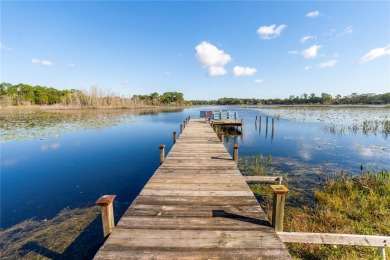 (private lake, pond, creek) Home Sale Pending in Lake Mary Florida