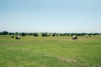 20 acres. Working Boat and RV Storage Business. Barndominium - photo 11