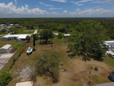 RARE TRIPLE LOT OPPORTUNITY IN HISTORIC EL JOBEAN! This - photo 14