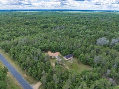 Spacious home on 5 private, quiet acres near Castle Rock Lake - photo 35