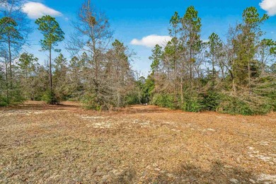 11.7 UNRESTRICTED ACRES - CREEK - DETATCHED GARAGE/WORKSHOP - - photo 44