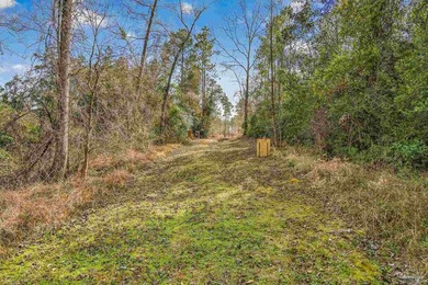 11.7 UNRESTRICTED ACRES - CREEK - DETATCHED GARAGE/WORKSHOP - - photo 46