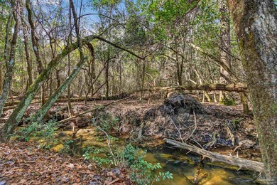 11.7 UNRESTRICTED ACRES - CREEK - DETATCHED GARAGE/WORKSHOP - - photo 49