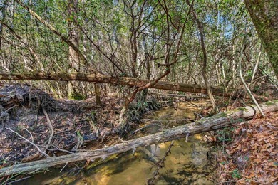 11.7 UNRESTRICTED ACRES - CREEK - DETATCHED GARAGE/WORKSHOP - - photo 50