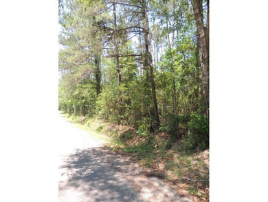Pearl River Acreage For Sale in Carriere Mississippi