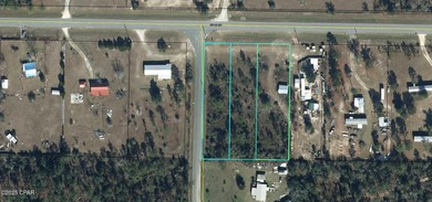 Mulehead Pond Lot For Sale in Altha Florida