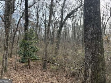 (private lake, pond, creek) Acreage For Sale in Carrollton Georgia