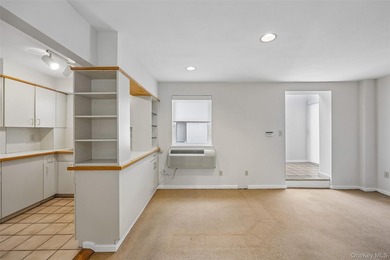 1331 Broadway unit P 10/11, a sunny and spacious first floor - photo 11