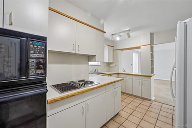 1331 Broadway unit P 10/11, a sunny and spacious first floor - photo 14