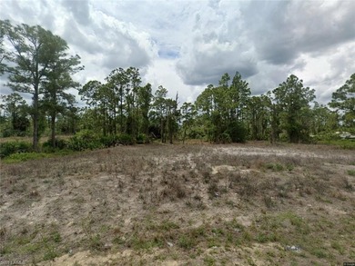 Lehigh Acres Area Lot For Sale in Lehigh Acres Florida