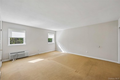 1331 Broadway unit P 10/11, a sunny and spacious first floor - photo 21