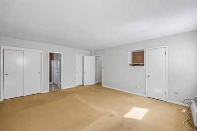 1331 Broadway unit P 10/11, a sunny and spacious first floor - photo 27