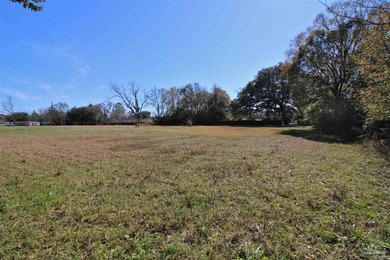 Endless possibilities with this land!! It has been previously - photo 28