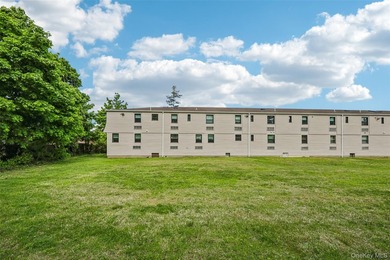 1331 Broadway unit P 10/11, a sunny and spacious first floor - photo 34