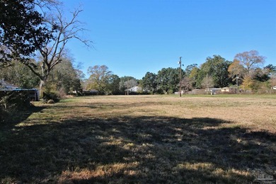 Endless possibilities with this land!! It has been previously - photo 36