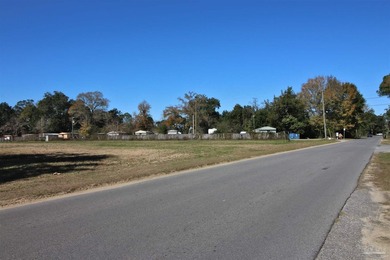 Endless possibilities with this land!! It has been previously - photo 37