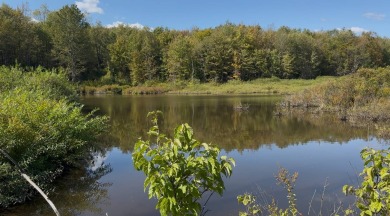 Lake Acreage For Sale in Otselic, New York