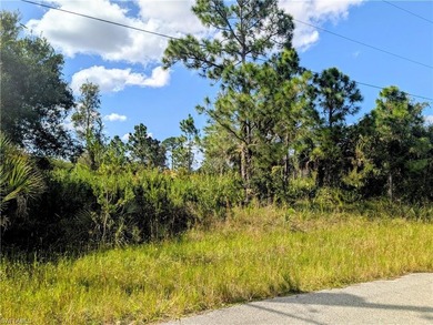 Lehigh Acres Area Lot For Sale in Lehigh Acres Florida
