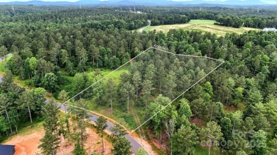 Lake Acreage For Sale in Connelly Springs, North Carolina