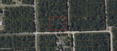 Build your vision on this 0.74-acre level vacant lot at 1570 - photo 3