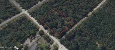 Build your vision on this 0.74-acre level vacant lot at 1570 - photo 4