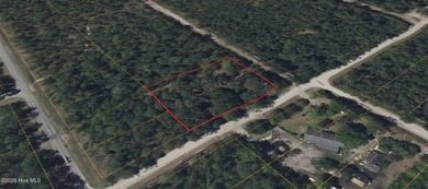 Build your vision on this 0.74-acre level vacant lot at 1570 - photo 5