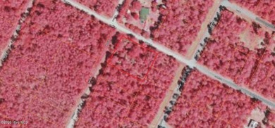 Build your vision on this 0.74-acre level vacant lot at 1570 - photo 6
