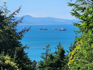 Perched above town with an Ocean views, this meticulously - photo 2