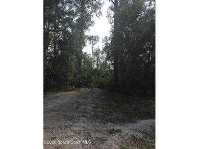 Beautiful 1.19-acre wooded lot located on a quiet dirt road - photo 2