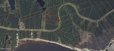 Build your coastal vision on this 1.61-acre level vacant lot at - photo 3