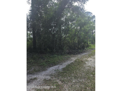 Beautiful 1.19-acre wooded lot located on a quiet dirt road - photo 3