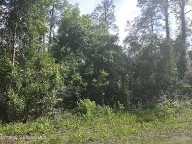 Beautiful 1.19-acre wooded lot located on a quiet dirt road - photo 4