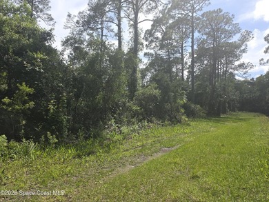 Beautiful 1.19-acre wooded lot located on a quiet dirt road - photo 5