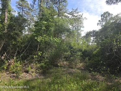 Beautiful 1.19-acre wooded lot located on a quiet dirt road - photo 6