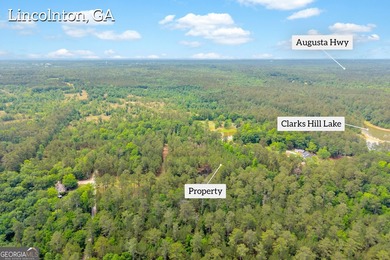 Don't miss this rare opportunity to own over 5 private acres on - photo 7