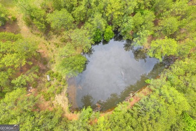 Don't miss this rare opportunity to own over 5 private acres on - photo 9